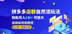 拼多多店群自然流玩法,轻松月入1W+保姆级视频教程(附上货、拍单工具)-第一资源库