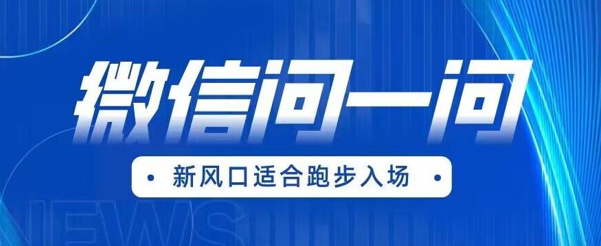 全网首发微信问一问新风口变现项目(价值1999元)【揭秘】-第一资源库