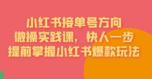 接单号方向·小红书微操实践课,快人一步,提前掌握小红书爆款玩法-第一资源库