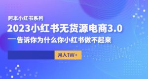 阿本小红书无货源电商3.0,告诉你为什么你小红书做不起来-第一资源库