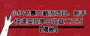 小红书暴力截流项目,新手快速实现单日收益二三百【仅揭秘】-第一资源库