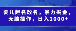 婴儿起名改名,暴力掘金,无脑操作,日入1000+【揭秘】-第一资源库