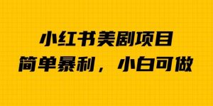 外面卖1980的小红书美剧项目，单日收益1000＋，小众暴利的赛道【揭秘】-第一资源库