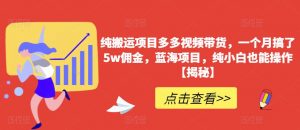 纯搬运项目多多视频带货,一个月搞了5w佣金,蓝海项目,纯小白也能操作【揭秘】-第一资源库