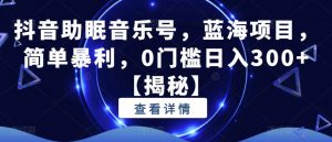 抖音助眠音乐号,蓝海项目,简单暴利,0门槛日入300+【揭秘】-第一资源库
