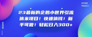 23最新的企鹅小世界引流搞米项目!快速搞钱!新手可做!轻松日入300+【揭秘】-第一资源库