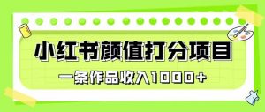 最新蓝海项目,小红书颜值打分项目,一条作品收入1000+【揭秘】-第一资源库