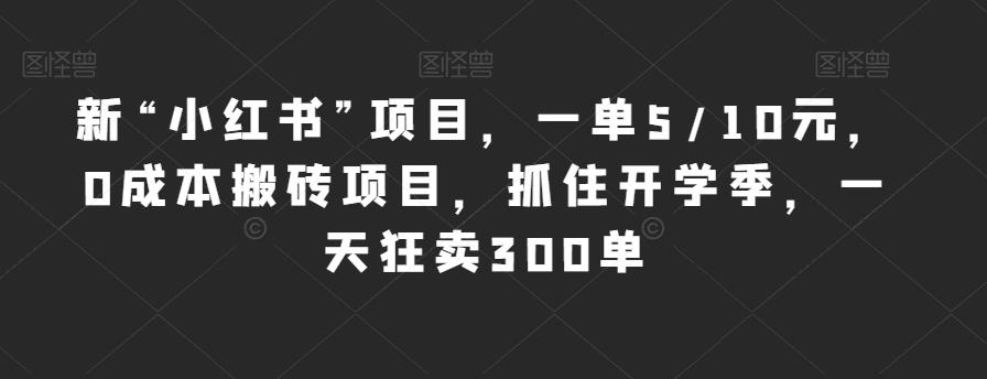 新“小红书”项目,一单5/10元,0成本搬砖项目,抓住开学季,一天狂卖300单【揭秘】-第一资源库