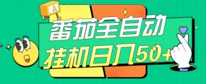 番茄全自动挂机日入50+,软件全自动,多号破百【揭秘】-第一资源库