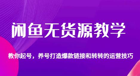闲鱼无货源教学,教你起号,养号打造爆款链接以及转转的运营技巧-第一资源库