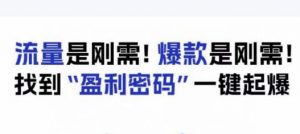 电商盈利精品课:6大盈利密码让产品更好卖,流量是刚需!爆款是刚需!找到”盈利密码”一键起爆-第一资源库