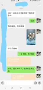 外边收费3980的同城萌宠项目,用最冷门的玩法冲击最热门的市场【揭秘】-第一资源库