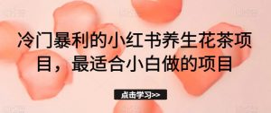 冷门暴利的小红书养生花茶项目，最适合小白做的项目【揭秘】-第一资源库