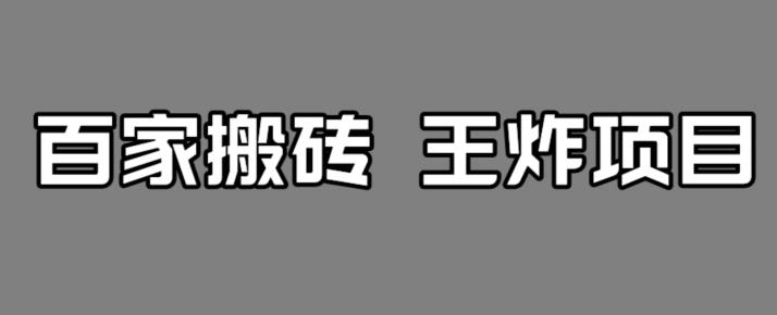百家最新搬运玩法,单号月入5000+【揭秘】-第一资源库