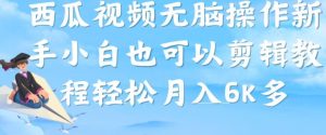 西瓜视频搞笑号,无脑操作新手小白也可月入6K-第一资源库