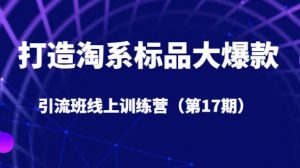 打造淘系标品大爆款引流班线上训练营(第17期)5天直播授课-第一资源库