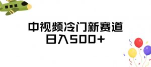 中视频冷门新赛道,做的人少,三天之内必起号,日入500+【揭秘】-第一资源库