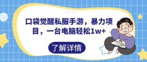 口袋觉醒私服手游,暴力项目,一台电脑轻松1w+【揭秘】-第一资源库