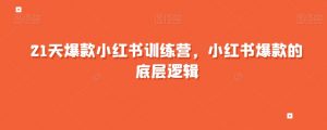 21天爆款小红书训练营,小红书爆款的底层逻辑-第一资源库