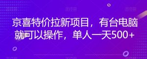 京喜特价拉新新玩法,有台电脑就可以操作,单人一天500+【揭秘】-第一资源库