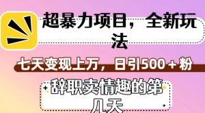 超暴利项目，全新玩法（辞职卖情趣的第几天），七天变现上万，日引500+粉【揭秘】-第一资源库