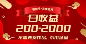 视频号直播蓝海,不需要发作品,不用经验,日入200-2000+【揭秘】-第一资源库