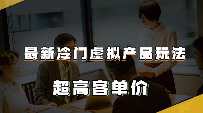 最新冷门虚拟产品玩法,超高客单价,月入2-3万+【揭秘】-第一资源库