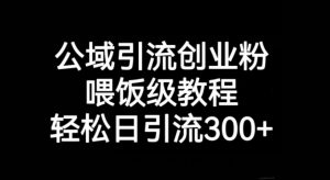 公域引流创业粉,喂饭级教程,轻松日引流300+【揭秘】-第一资源库