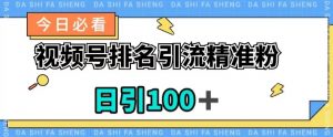 视频号引流精准粉,日引100+,流量爆炸【揭秘】-第一资源库
