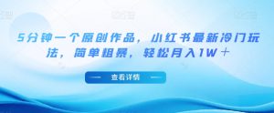 5分钟一个原创作品,小红书最新冷门玩法,简单粗暴,轻松月入1W+【揭秘】-第一资源库