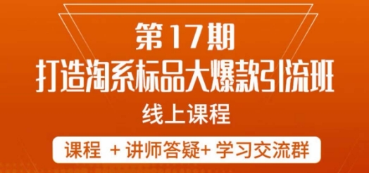 南掌柜-第17期打造淘系标品大爆款,5天线上课-第一资源库
