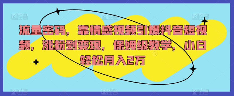 流量密码,靠情感视频引爆抖音短视频,涨粉到变现,保姆级教学,小白轻松月入2万【揭秘】-第一资源库