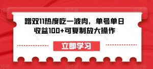 蹭双11热度吃一波肉,单号单日收益100+可复制放大操作【揭秘】-第一资源库