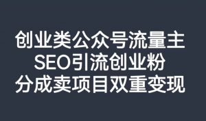 创业类公众号流量主,SEO引流创业粉,分成卖项目双重变现【揭秘】-第一资源库