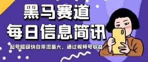 黑马赛道每日信息简讯,起号超级快自带流量大,通过视频号收益【揭秘】-第一资源库
