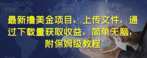 最新撸美金项目,上传文件,通过下载量获取收益,简单无脑,附保姆级教程【揭秘】-第一资源库