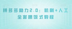 拼多多助力2.0:机刷+人工全套喂饭式教程【揭秘】-第一资源库