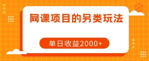 网课项目的另类玩法,单日收益2000+【揭秘】-第一资源库