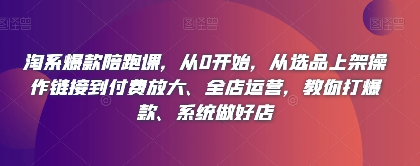 淘系爆款陪跑课,从0开始,从选品上架操作链接到付费放大、全店运营,教你打爆款、系统做好店-第一资源库