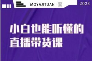 大威本威·能听懂的直播带货课,小白也能听懂,20节完整-第一资源库