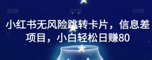 小红书无风险跳转卡片,信息差项目,小白轻松日赚800【揭秘】-第一资源库