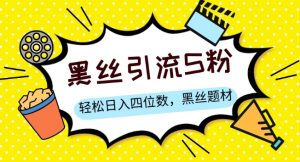 S粉变现,轻松日入四位数,黑丝题材+情感话术【揭秘】-第一资源库