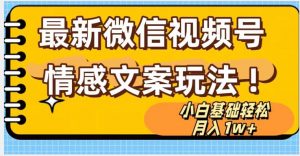 微信视频号情感文案最新玩法,小白轻松月入1万+无脑搬运【揭秘】-第一资源库