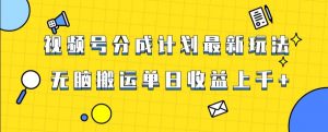 视频号最新爆火赛道玩法，只需无脑搬运，轻松过原创，单日收益上千【揭秘】-第一资源库