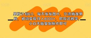 男粉计划6.0,每天发发图片,引流精准男粉,被动变现月入8000+,喂饭式教学,小白无脑复制操作即可-第一资源库