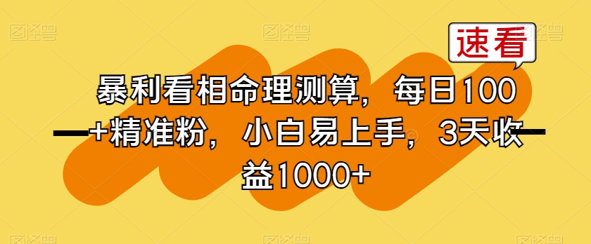 暴利看相命理测算,每日100+精准粉,小白易上手,3天收益1000+【揭秘】-第一资源库