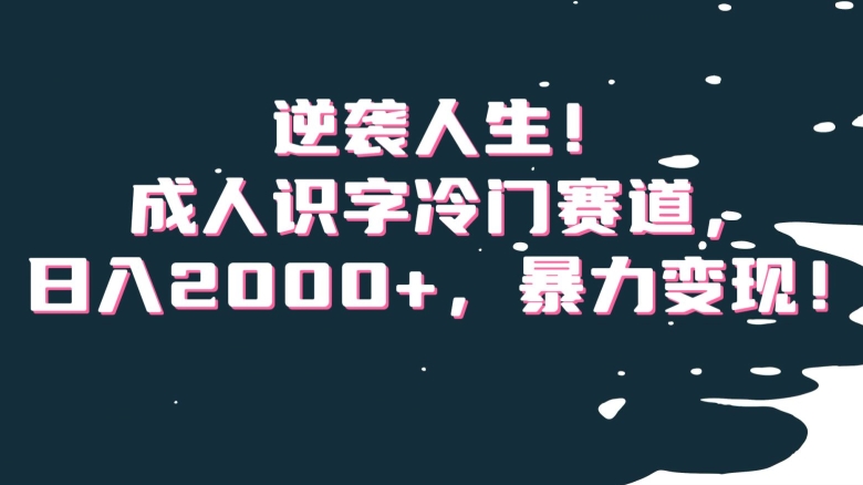 逆袭人生!成人识字冷门赛道,日入2000+,暴力变现!【揭秘】-第一资源库