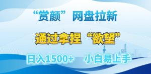 “赏颜”网盘拉新赛道,通过拿捏“欲望”日入1500+,小白易上手【揭秘】-第一资源库