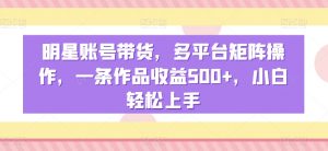 明星账号带货，多平台矩阵操作，一条作品收益500+，小白轻松上手【揭秘】-第一资源库