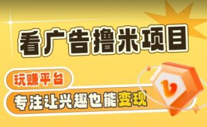 【海蓝项目】广告掘金日赚160+(附养机教程)长期稳定,收益妙到【揭秘】-第一资源库